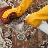 Area Rug, 9 x 12 ft Large Washable Rug, Non-Slip and Tear-Resistant Soft Carpet, Pet & Child Friendly Vintage Area Rugs, Indoor Mat for Bedroom